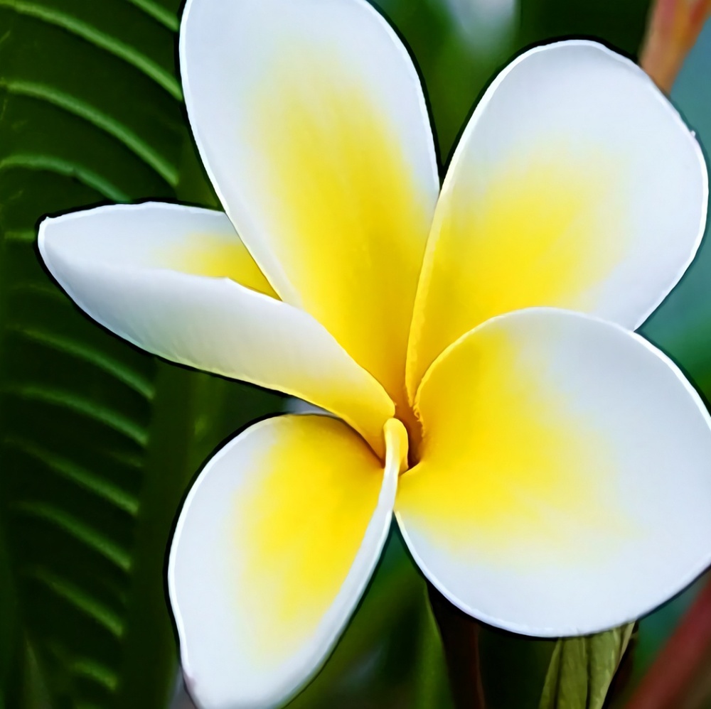 Meet your Posher, Melanie d.